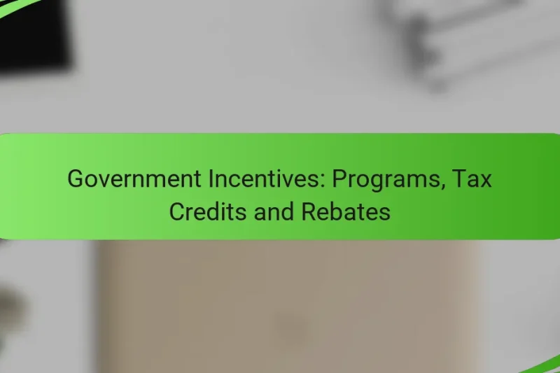 Government Incentives: Programs, Tax Credits and Rebates