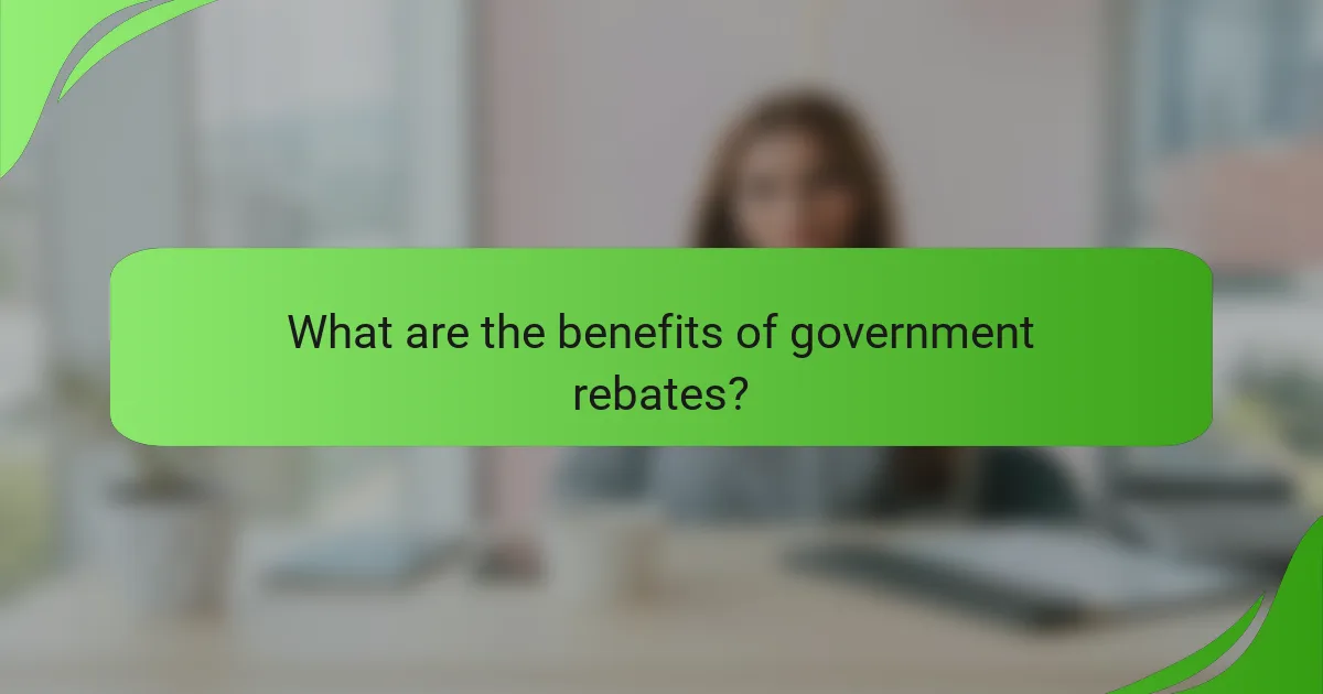 What are the benefits of government rebates?