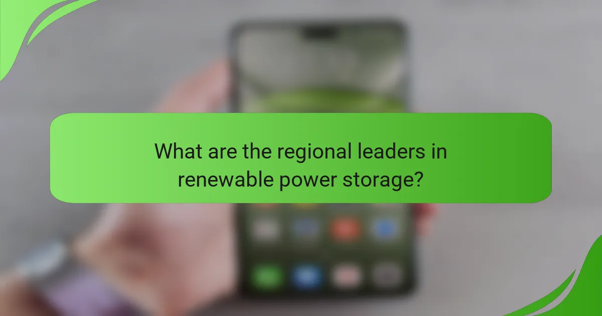 What are the regional leaders in renewable power storage?
