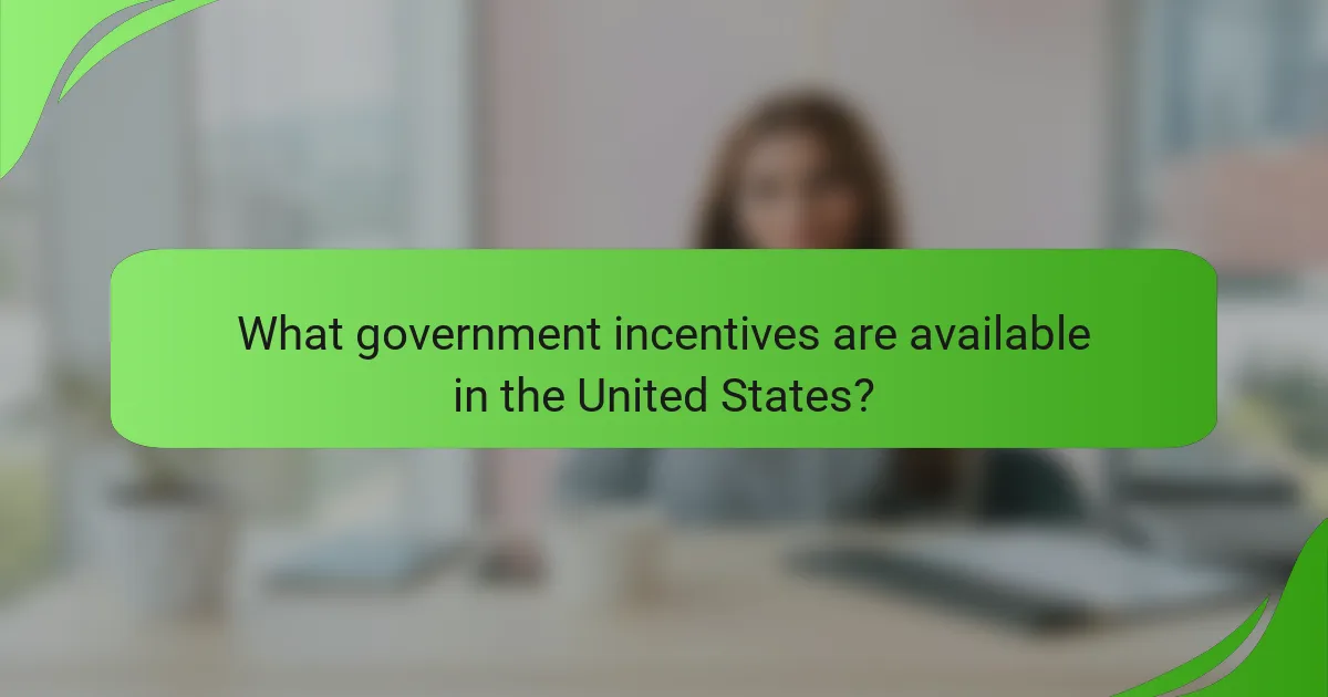 What government incentives are available in the United States?